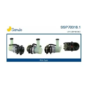 SSP70316.1 SANDO