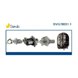 SVG78031.1 SANDO