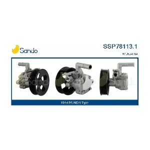 SSP78113.1 SANDO