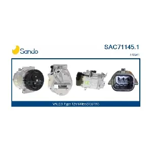 SANDO SAC71145.1