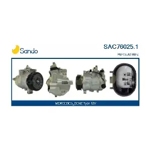SAC76025.1 SANDO