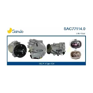 SAC77114.0 SANDO