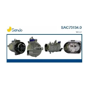 SAC73134.0 SANDO