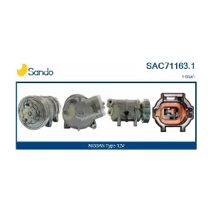 SANDO SAC71163.1