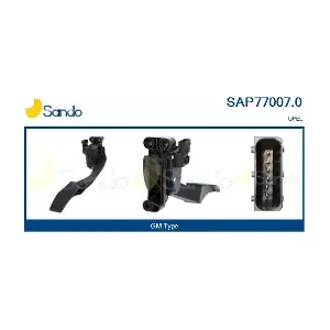 SAP77007.0 SANDO