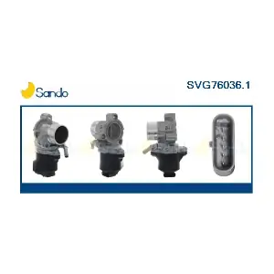 SVG76036.1 SANDO