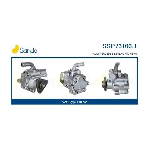 SSP73106.1 SANDO