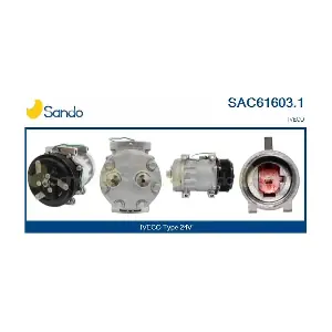 SANDO SAC61603.1