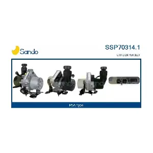 SSP70314.1 SANDO