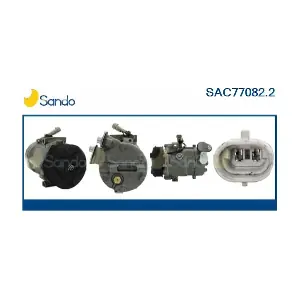 SANDO SAC77082.2