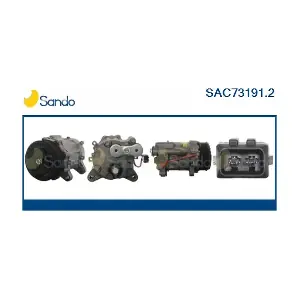 SAC73191.2 SANDO