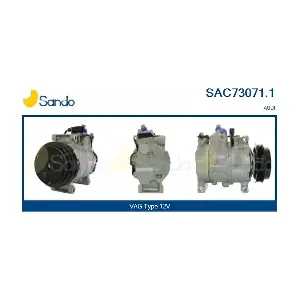 SAC73071.1 SANDO