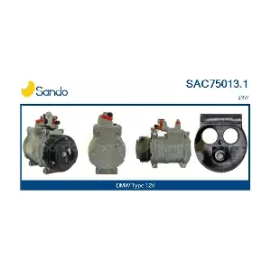 SAC75013.1 SANDO