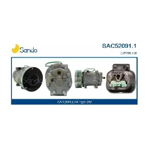 SANDO SAC52091.1