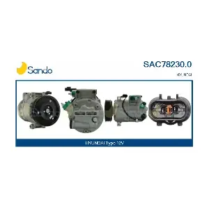 SAC78230.0 SANDO