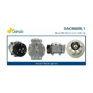 SAC66006.1 SANDO