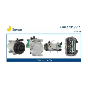 SAC78177.1 SANDO