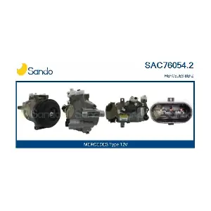SAC76054.2 SANDO