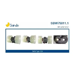 SBW75011.1 SANDO