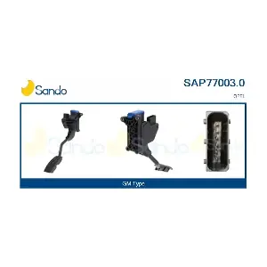 SAP77003.0 SANDO