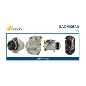 SAC75067.0 SANDO
