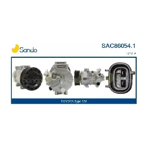 SAC86054.1 SANDO