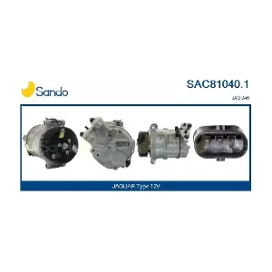 SANDO SAC81040.1