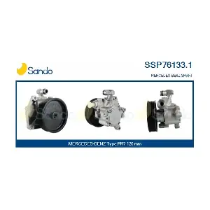 SSP76133.1 SANDO