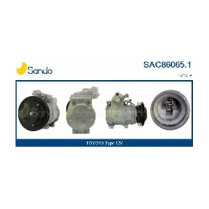 SAC86065.1 SANDO