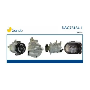 SAC73134.1 SANDO
