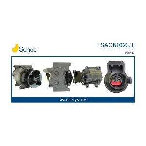SAC81023.1 SANDO