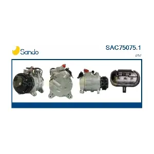 SAC75075.1 SANDO
