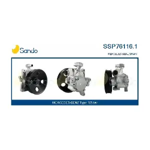 SSP76116.1 SANDO