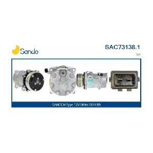 SANDO SAC73138.1