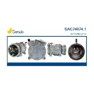 SANDO SAC74074.1