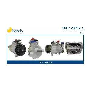 SAC75052.1 SANDO
