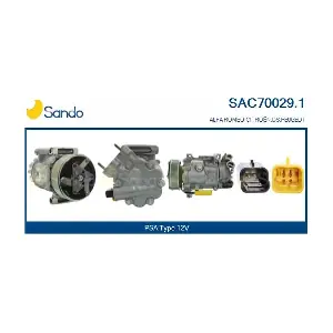 SAC70029.1 SANDO