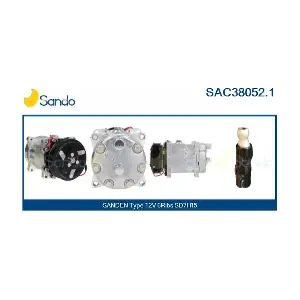 SANDO SAC38052.1
