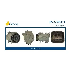 SAC70009.1 SANDO