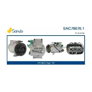 SANDO SAC78076.1