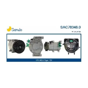 SAC78348.0 SANDO