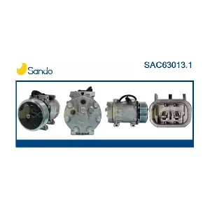 SANDO SAC63013.1