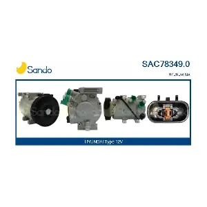 SAC78349.0 SANDO