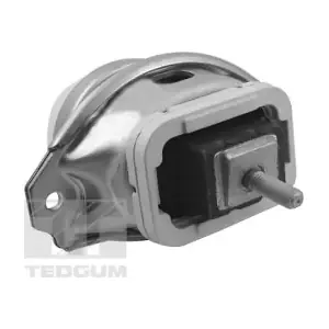 TEDGUM TED44341