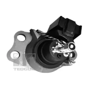 00586865 TEDGUM