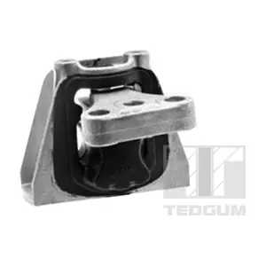 00269162 TEDGUM