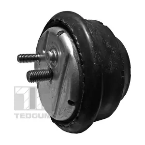 00089808 TEDGUM