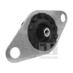 00215024 TEDGUM