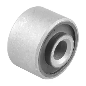 TEDGUM 00024801