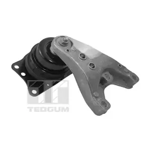 00729405 TEDGUM
